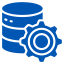 Data Manager